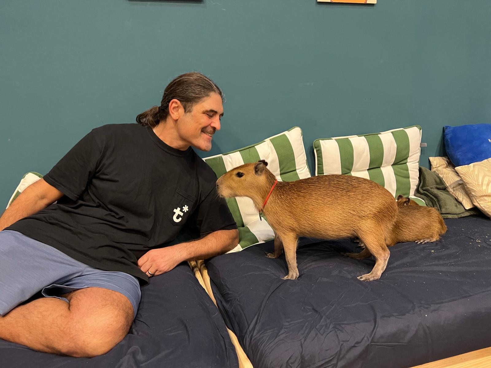 Capybara Thailand 2024